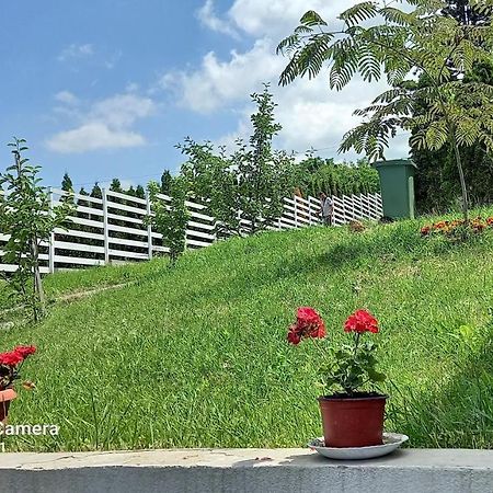 Fruskogorska Idila Lägenhet Vrdnik Exteriör bild